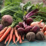 Les bienfaits des légumes de saison pour la santé : pourquoi il est essentiel de les privilégier toute l'année