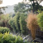 Cultiver des bambous au jardin : conseils et astuces pour une croissance optimale